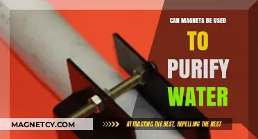 Magnetic Water Purification: A Revolutionary Approach to Clean Water