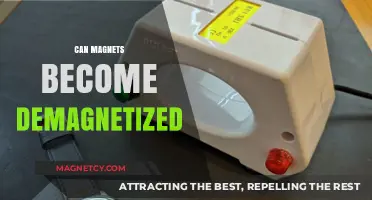 Can Magnets Lose Their Power? Understanding Demagnetization Risks