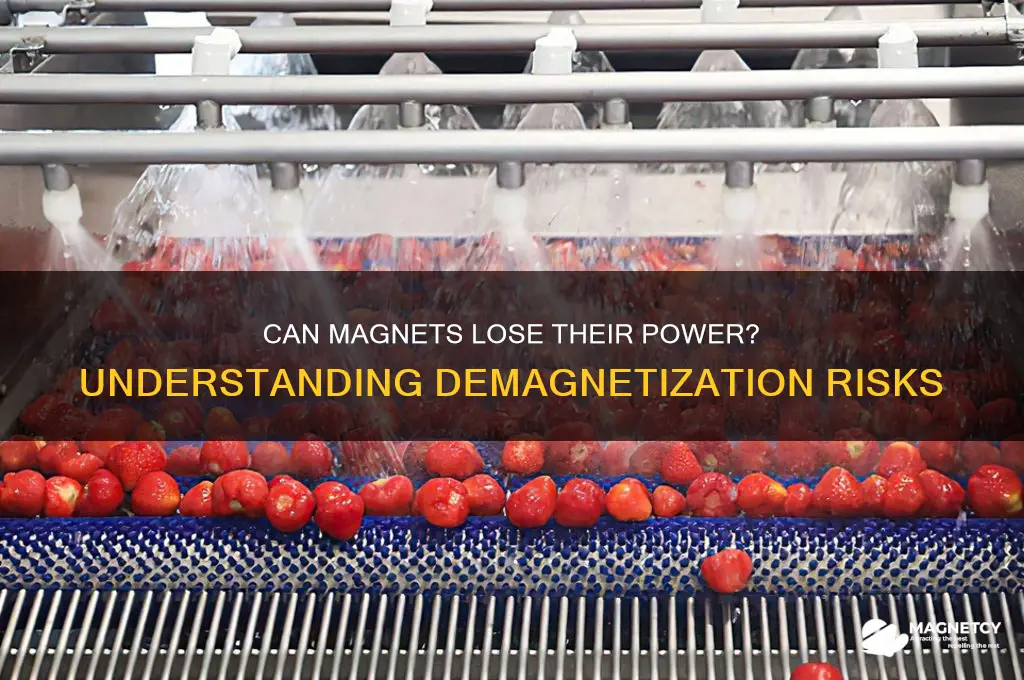 can magnets become demagnetized