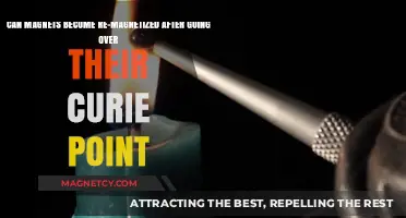 Re-Magnetizing Magnets Post-Curie Point: Possibility or Permanent Loss?