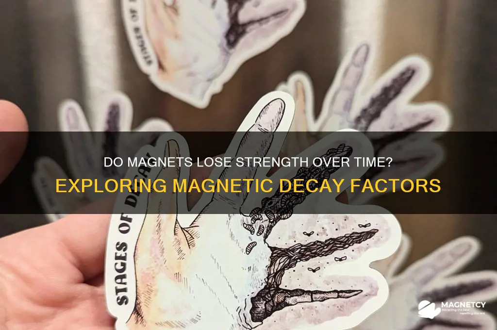 can magnets become weaker