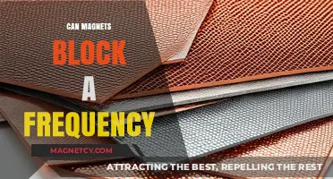 Can Magnets Block Frequencies? Exploring the Science Behind EMF Shielding