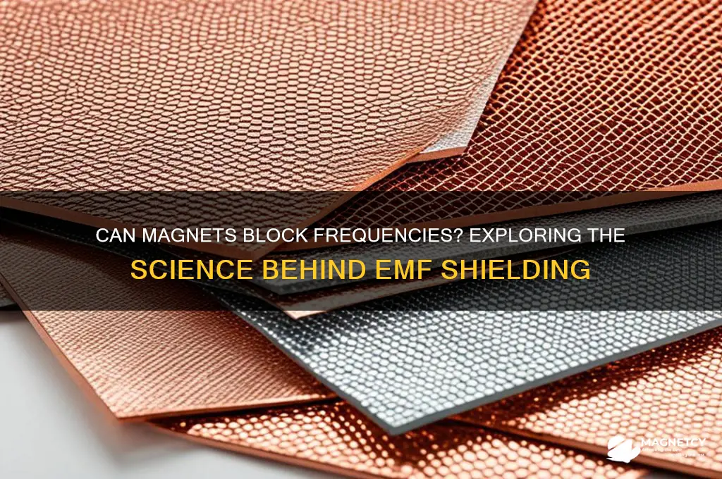 can magnets block a frequency