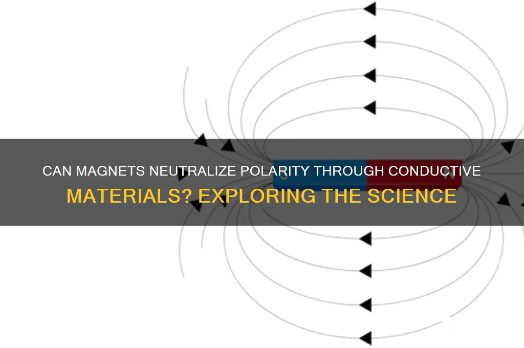 can magnets cancel polarity through a conductor