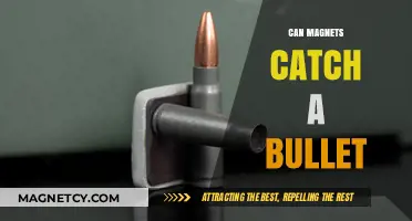 Magnets vs. Bullets: Can Magnetic Fields Stop High-Speed Projectiles?