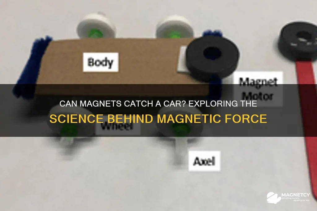 can magnets catch a car