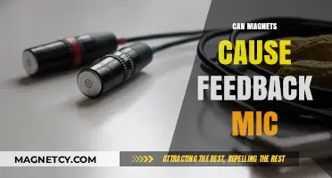 Magnets and Microphones: Unraveling the Feedback Mystery