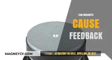 Can Magnets Trigger Audio Feedback? Exploring Magnetic Interference in Speakers