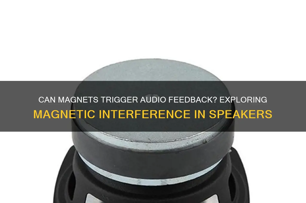 can magnets cause feedback