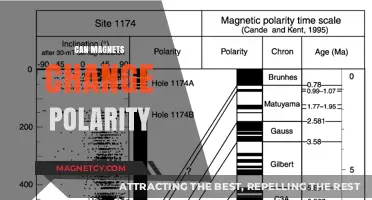 Can Magnets Flip Polarity? Exploring Magnetic Reversal Possibilities