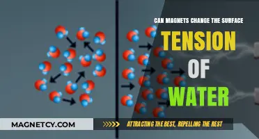 Magnetic Influence: Exploring Water's Surface Tension Alteration by Magnets