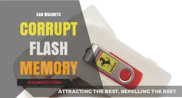 Do Magnets Pose a Threat to Flash Memory Integrity?