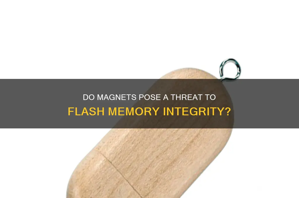 can magnets corrupt flash memory