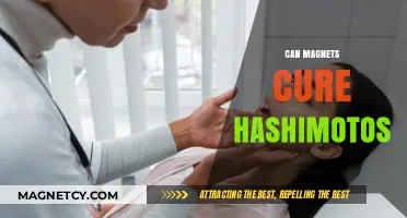 Magnetic Therapy for Hashimoto's: Fact or Fiction? Exploring the Science