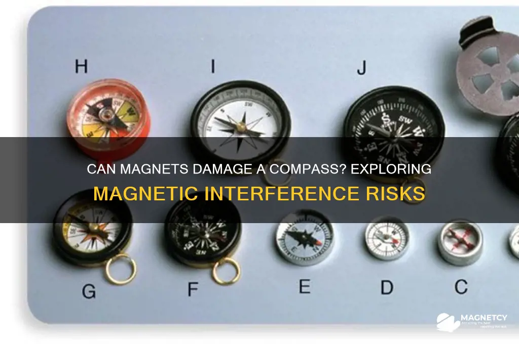 can magnets damaa compass