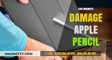 Can Magnets Harm Your Apple Pencil? Facts and Safety Tips
