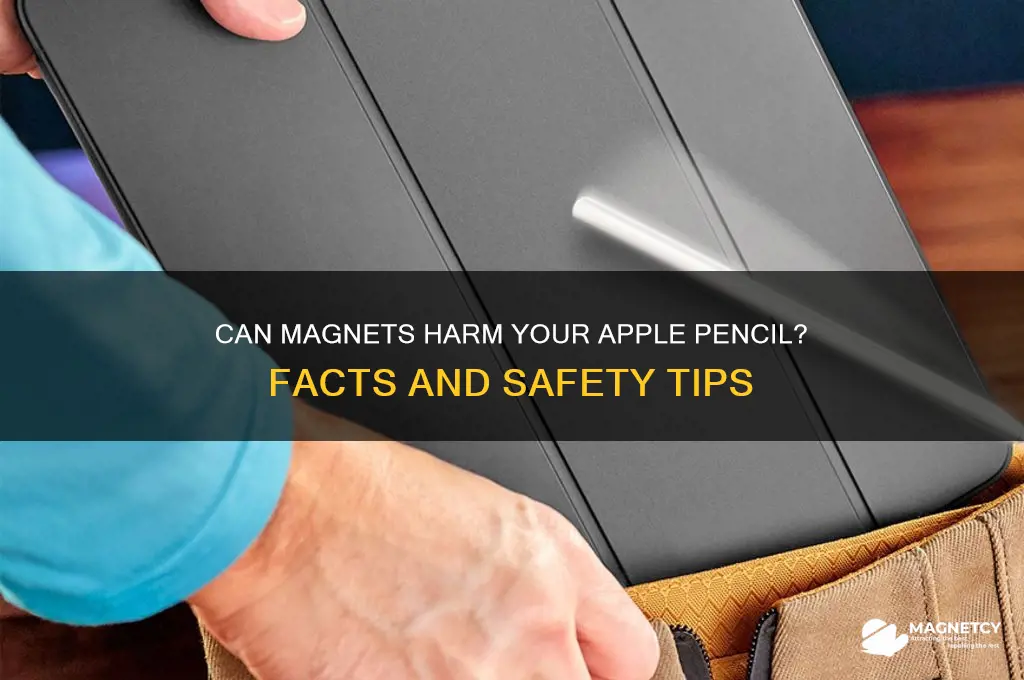 can magnets damage apple pencil