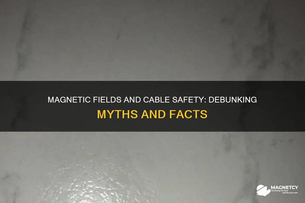 can magnets damage cables