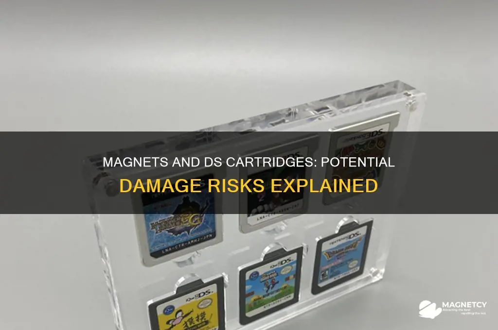 can magnets damage ds cartridges
