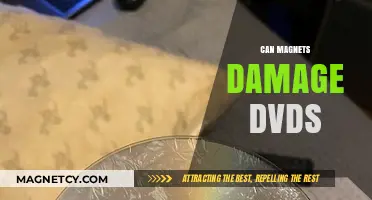 Can Magnets Damage DVDs? Facts and Myths Explained