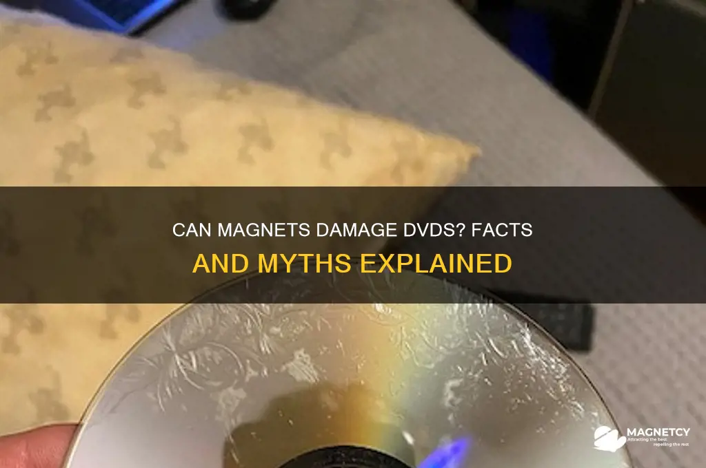 can magnets damage dvds