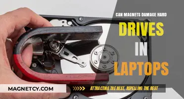 Can Magnets Harm Laptop Hard Drives? Facts and Myths Explained