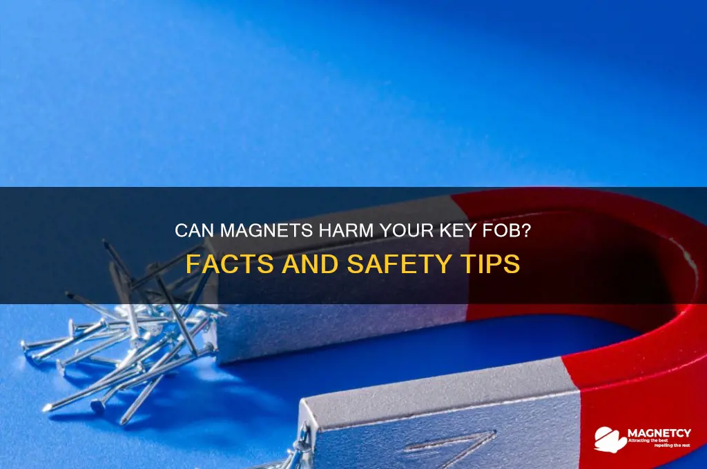 can magnets damage key fobs