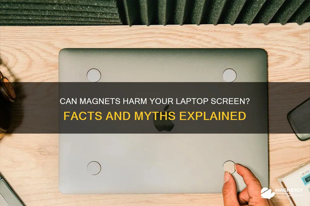 can magnets damage laptop screen