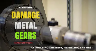 Magnets and Metal Gears: Potential Damage Risks Explained
