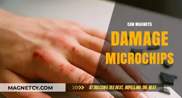 Magnets and Microchips: Uncovering the Truth About Potential Damage