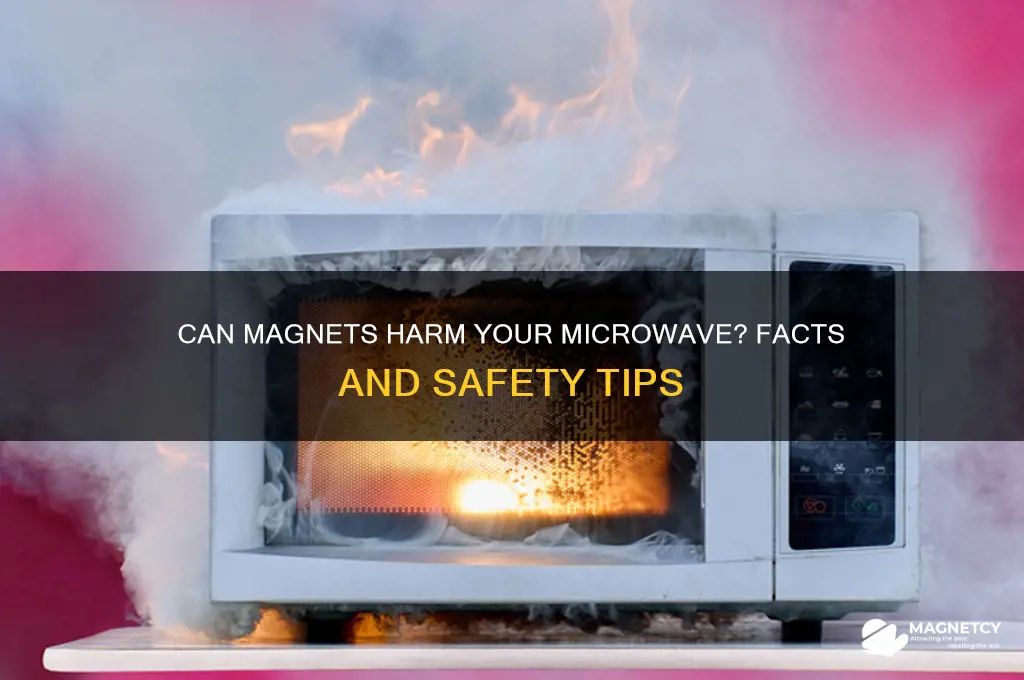 can magnets damage microwaves