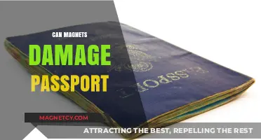 Can Magnets Damage Your Passport? Essential Travel Safety Tips