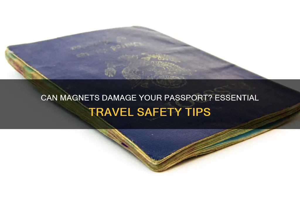 can magnets damage passport