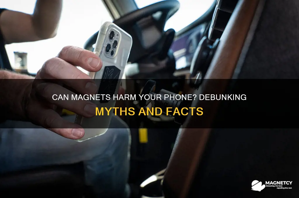 can magnets damage phine