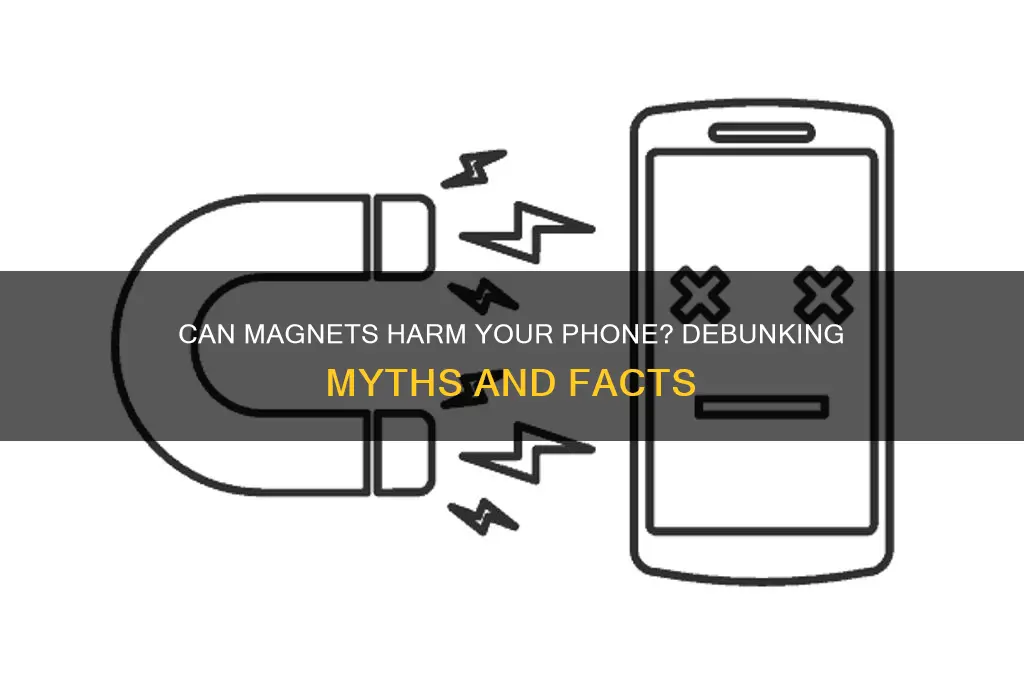 can magnets damage phones