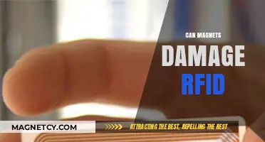 Can Magnets Damage RFID? Exploring Potential Risks and Safeguards