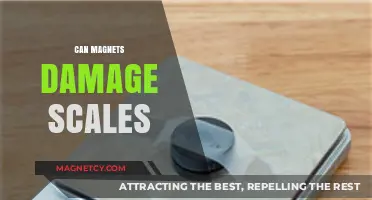 Magnets and Scales: Potential Damage Risks Explained