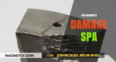 Can Magnets Harm Your Spa? Facts and Safety Tips Revealed