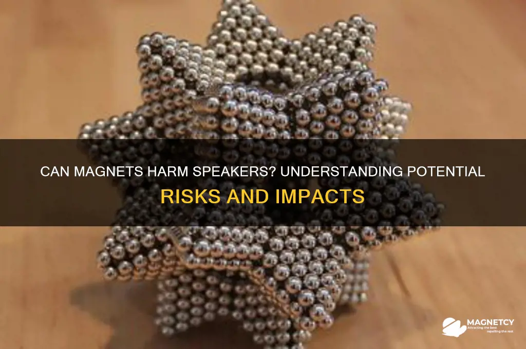 can magnets damage speakers