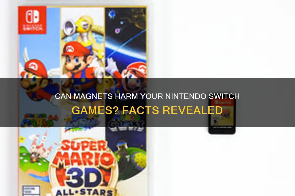 can magnets damage switch games