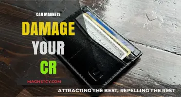 Can Magnets Harm Your Credit Card? Debunking Myths and Facts