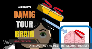 Magnets and Brain Health: Separating Fact from Fiction