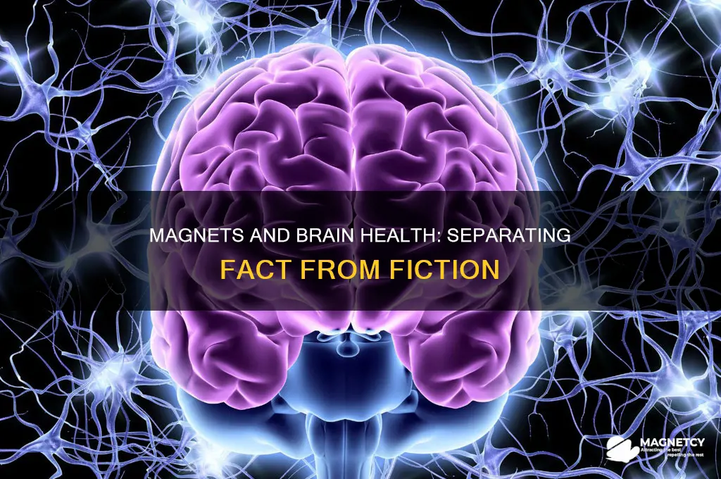 can magnets damig your brain