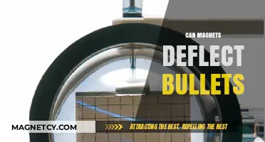 Magnetic Bullet Deflection: Myth or Feasible Defense Technology?