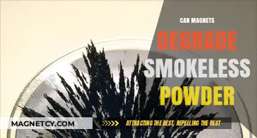 Magnets and Smokeless Powder: Investigating Potential Degradation Risks