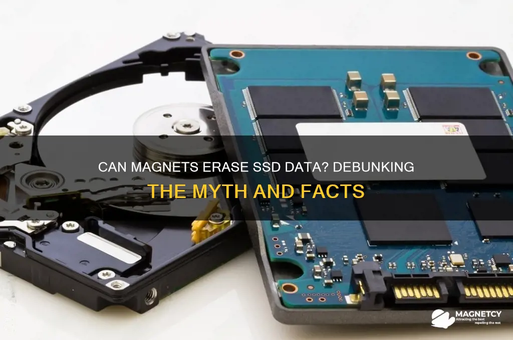 can magnets delete a ssd