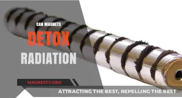 Magnets and Radiation Detox: Fact or Fiction? Exploring the Science