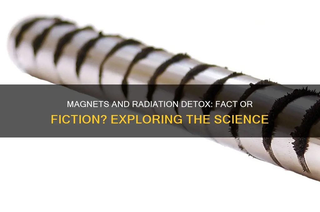 can magnets detox radiation