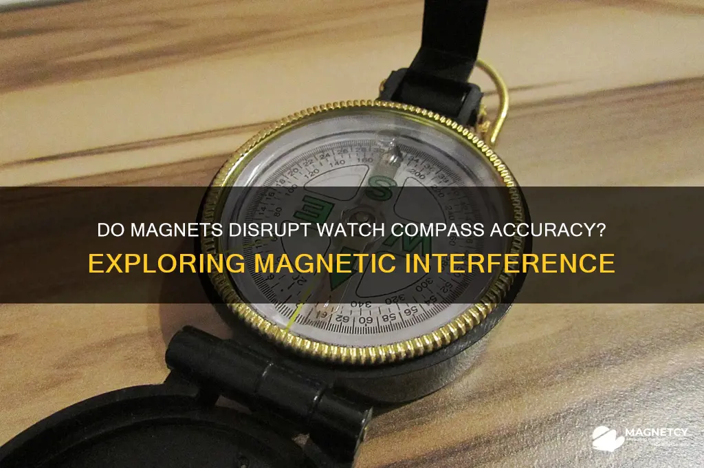 can magnets effect compass on a watch