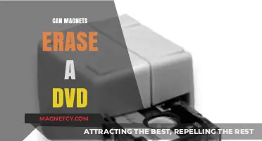 Can Magnets Erase a DVD? Debunking the Myth and Facts